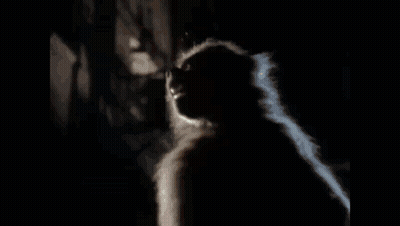 A Video Of A Man Sitting On A Staircase With The Words Let That Rabid Monkey Die Quietly If It GIF