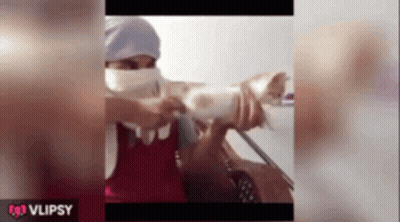 A Video Of A Woman Holding A Cat With The Words Vlipsy On The Bottom Right GIF