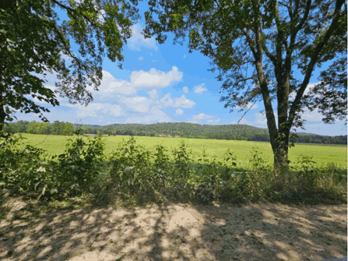 A View Of A Field With Trees In The Foreground GIF
