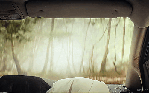 A View Of A Forest From The Inside Of A Car With The Word Kepler At The Bottom GIF