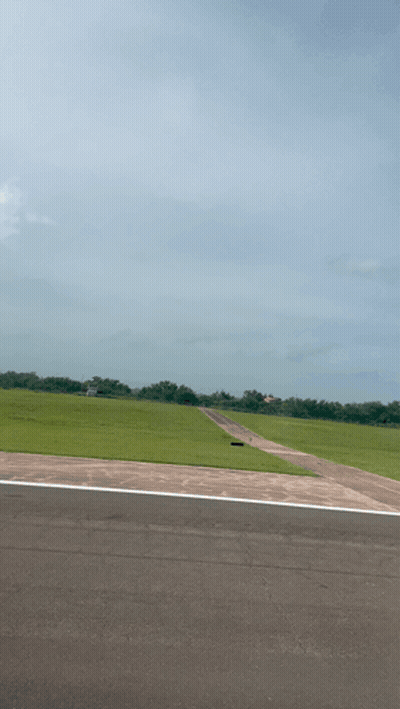 A View Of A Grassy Field Through A Window GIF