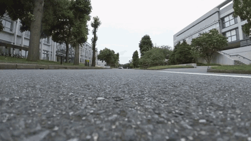 A View Of A Street With Trees And Buildings In The Background GIF