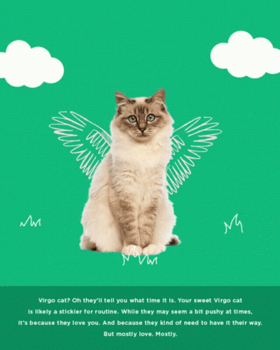 A Virgo Cat With Wings Is On A Green Poster GIF