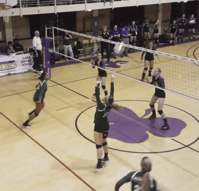 A Volleyball Game Is Being Played In Front Of A Sign That Says Carls University GIF