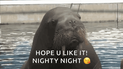 A Walrus In The Water With The Words Hope U Like It Nighty Night GIF