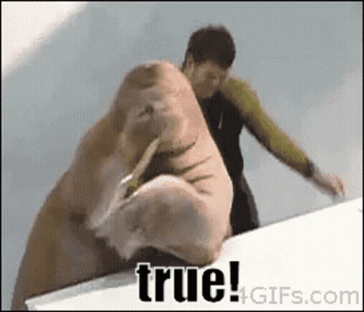 A Walrus Is Being Held By A Man And The Words True Are On The Bottom Of The Image GIF