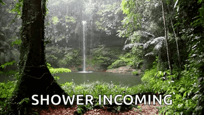 A Waterfall In A Lush Green Forest With The Words Shower Incoming GIF