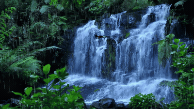 A Waterfall In The Middle Of A Forest With Birds Flying Around It GIF