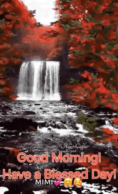 A Waterfall In The Middle Of A Forest With Red Leaves And A Good Morning Greeting . GIF