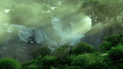 A Waterfall In The Middle Of A Forest With The Sun Shining Through The Fog GIF