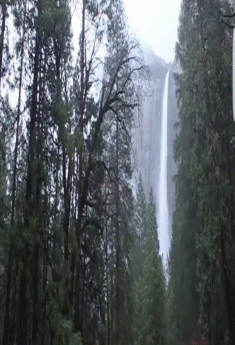 A Waterfall In The Middle Of A Forest With Trees In The Foreground GIF