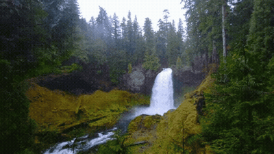 A Waterfall In The Middle Of A Forest With Trees Surrounding It GIF