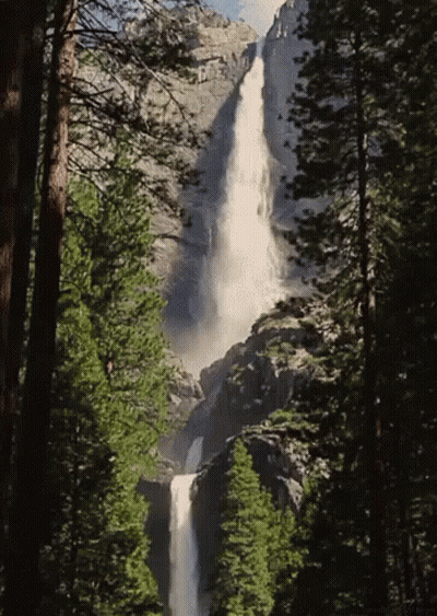 A Waterfall In The Middle Of A Forest With Trees Surrounding It GIF
