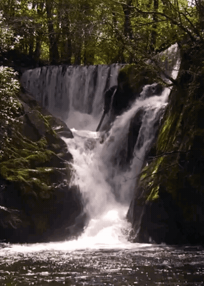 A Waterfall In The Middle Of A Forest With Trees Surrounding It GIF