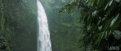 A Waterfall In The Middle Of A Lush Green Forest . GIF