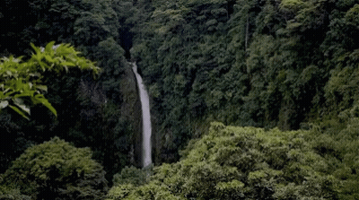 A Waterfall In The Middle Of A Lush Green Forest Surrounded By Trees GIF