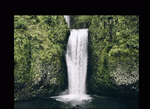 A Waterfall Is Surrounded By Lush Greenery On A Dark Background GIF