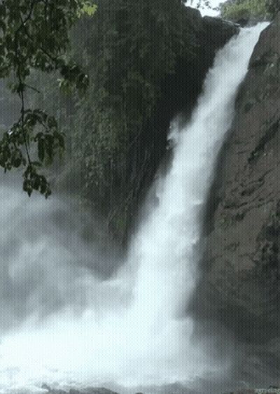 a waterfall is surrounded by trees and rocks and has the word appreciate on the bottom right