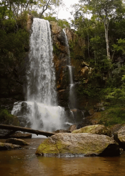 A Waterfall Is Surrounded By Trees And Rocks In A Forest GIF