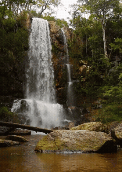 A Waterfall Is Surrounded By Trees And Rocks In A Forest GIF