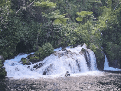 A Waterfall Is Surrounded By Trees And Rocks In A Lush Green Forest GIF