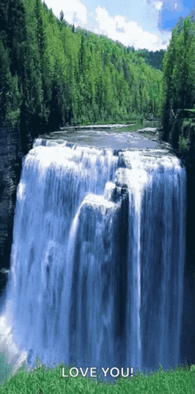 A Waterfall Is Surrounded By Trees And The Words Love You Are Below It GIF