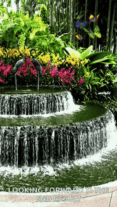 A Waterfall Surrounded By Flowers And Butterflies With The Words Looking Forward To The End Result GIF