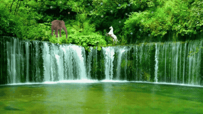 A Waterfall With An Elephant And A Horse Standing On It GIF
