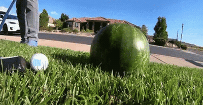 A Watermelon Is Laying On The Grass Next To A Golf Ball With The Letter K On It GIF