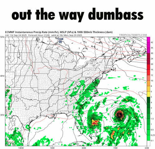 A Weather Map With The Words Out The Way Dumbass GIF