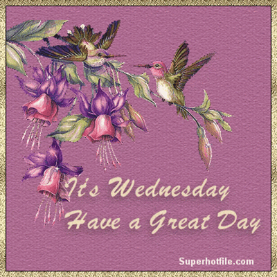A Wednesday Greeting Card With Hummingbirds And Flowers GIF