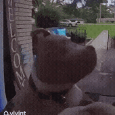 A Welcome Sign Is Hanging On A Brick Building GIF