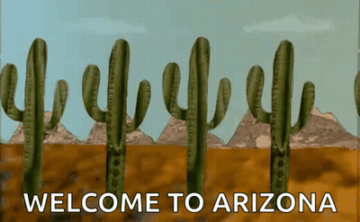 A Welcome To Arizona Sign With Cactus And Mountains GIF