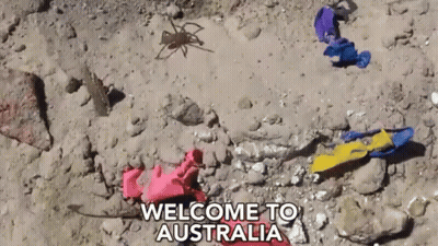 A Welcome To Australia Sign With A Spider And Some Balloons GIF