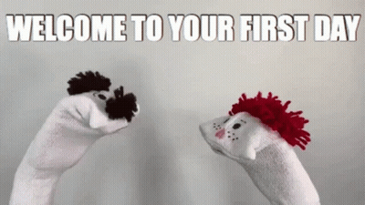 A Welcome To Your First Day Greeting With Two Sock Puppets GIF