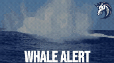 A Whale Alert Sign With A Picture Of A Unicorn In The Background GIF