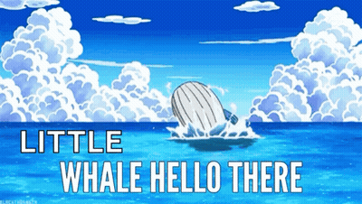 A Whale In The Ocean With The Words Little Whale Hello There GIF