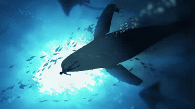 A Whale Is Swimming In The Ocean Surrounded By Small Fish GIF