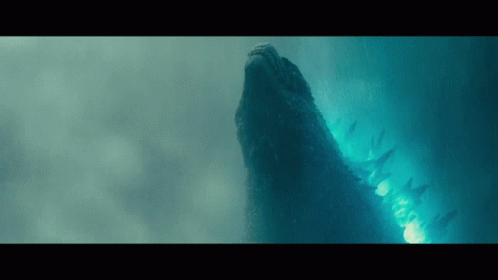 A Whale Is Swimming In The Water And Looking Up At Something GIF