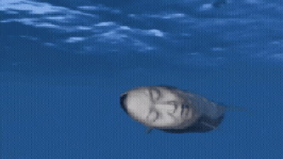 A Whale With A Man 'S Face On It Swimming In The Ocean GIF