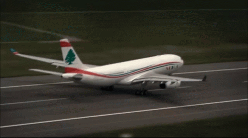 A White Airplane With A Tree On The Tail Is Taking Off GIF