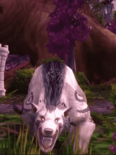 A White And Black Animal With A Purple Stripe On Its Back GIF