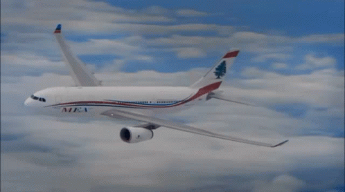 A White And Red Airplane With A Tree On The Tail Is Flying In The Sky GIF