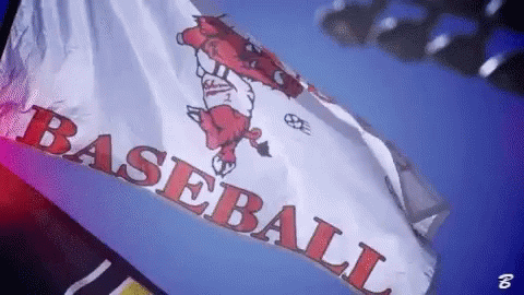 A White And Red Baseball Flag With A Pig On It GIF