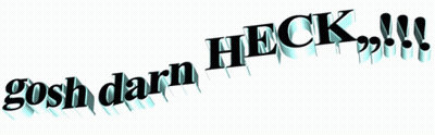 A White Background With The Words Gosh Darn Heck On It GIF