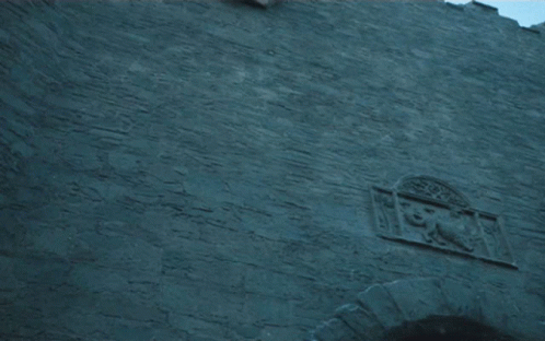 A White Banner With A Bird On It Hangs From A Rope On A Brick Wall GIF