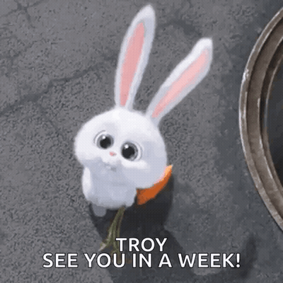 A White Bunny Rabbit Is Holding A Carrot In Its Paws And Says `` Troy See You In A Week ! '' GIF
