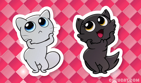 A White Cat And A Black Cat On A Checkered Pink Background GIF