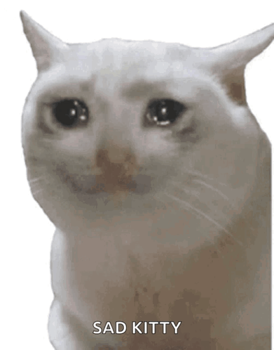 A White Cat Is Crying With Its Eyes Closed And The Words Sad Kitty Written On The Bottom . GIF
