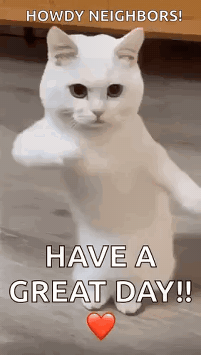 A White Cat Is Giving A Middle Finger And Says `` Howdy Neighbors ! Have A Great Day !! '' GIF